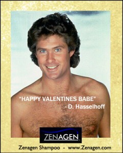 Happy-Valentines-Day-Card-Hasselhoff-Vday-Ecard-Zenagen-Hair-Loss-Shampoo-Blog