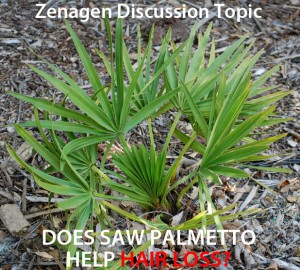 Zenagen Saw Palmetoo Help Hair Loss Photo